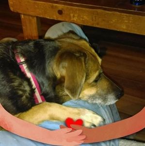 Meet your Posher, Scott